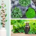Exploring the Potential of Homeopathy for Gout Relief